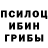 Псилоцибиновые грибы ЛСД Philip Pouliot