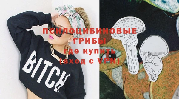 ПСИЛОЦИБИНОВЫЕ ГРИБЫ Покачи