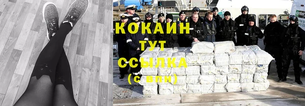 прущие крисы Абаза